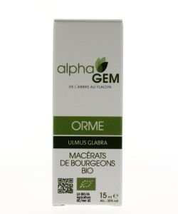 Orme (Ulmus campestris) bourgeon BIO, 15 ml